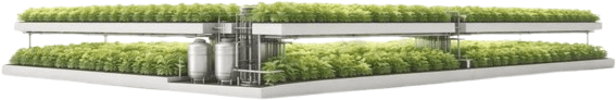 Vertical Farming for a Sustainable Food Future